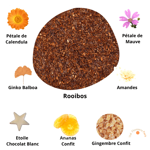 Rooibos Premium Fruits Exotiques & Chocolat Blanc - Thé Floresens Paris