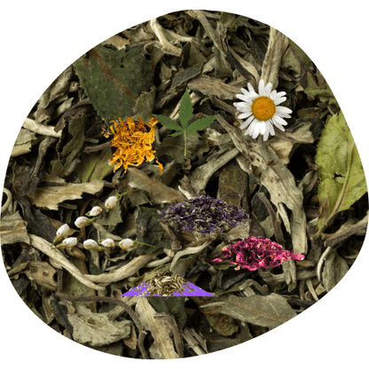 Thé Blanc Pai Mu Tan Fleurs & Plantes - Thé Floresens Paris