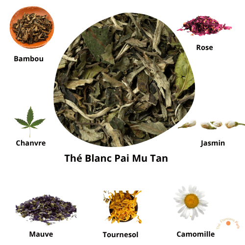 Thé Blanc Pai Mu Tan Fleurs & Plantes - Thé Floresens Paris