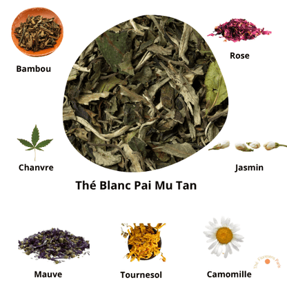 Thé Blanc Pai Mu Tan Fleurs & Plantes - Thé Floresens Paris